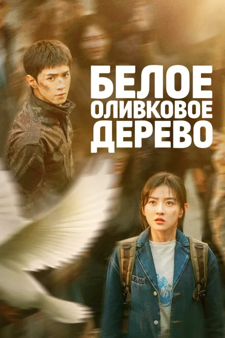 Белое оливковое дерево (сериал 2025)
