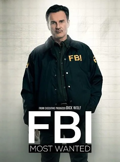 ФБР: Самые разыскиваемые преступники (сериал 2020)